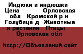 Индюки и индюшки › Цена ­ 1 500 - Орловская обл., Кромской р-н, Голубица д. Животные и растения » Птицы   . Орловская обл.